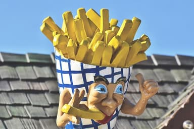 fries image 3